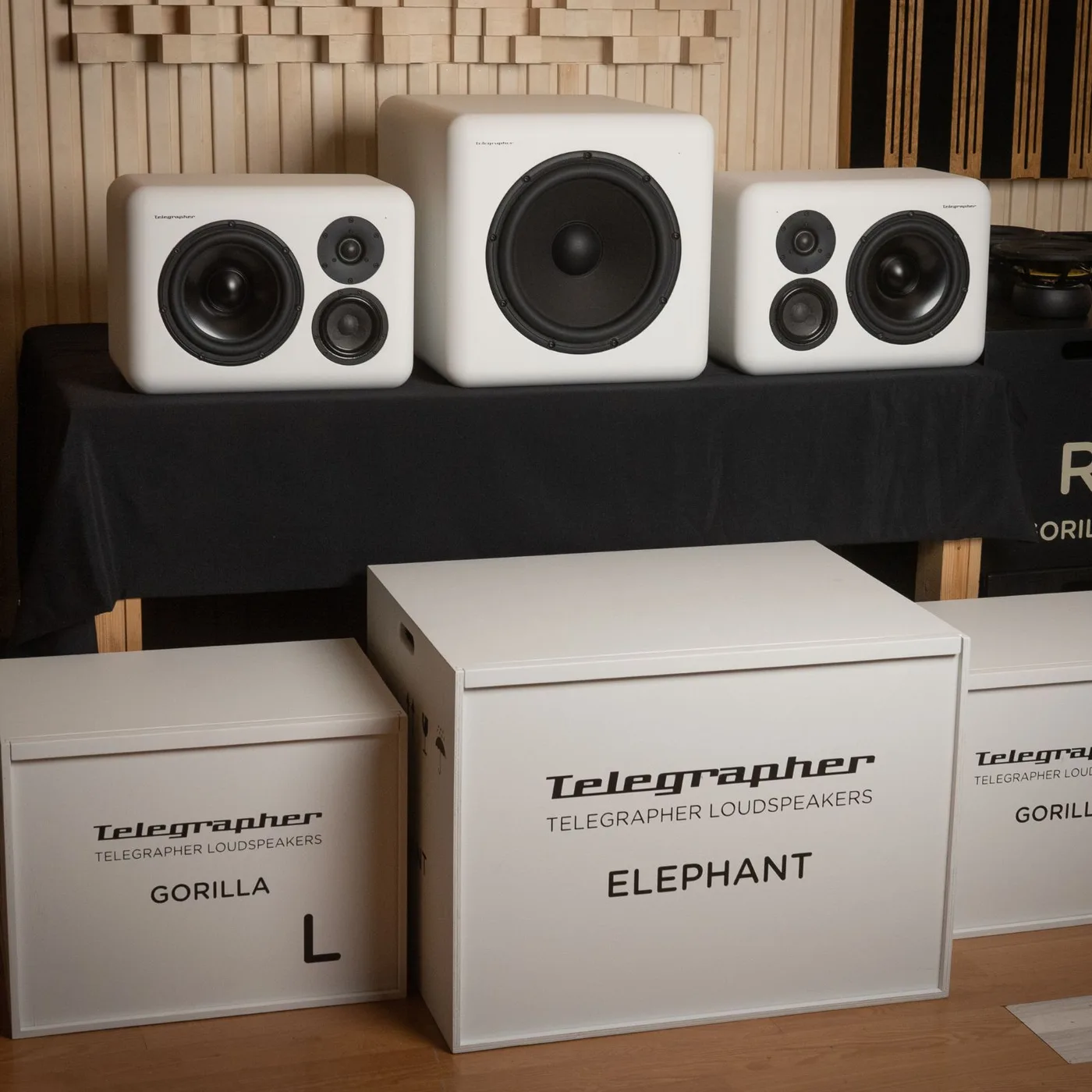 Elephant Active Analog Subwoofer by Telegrapher p03