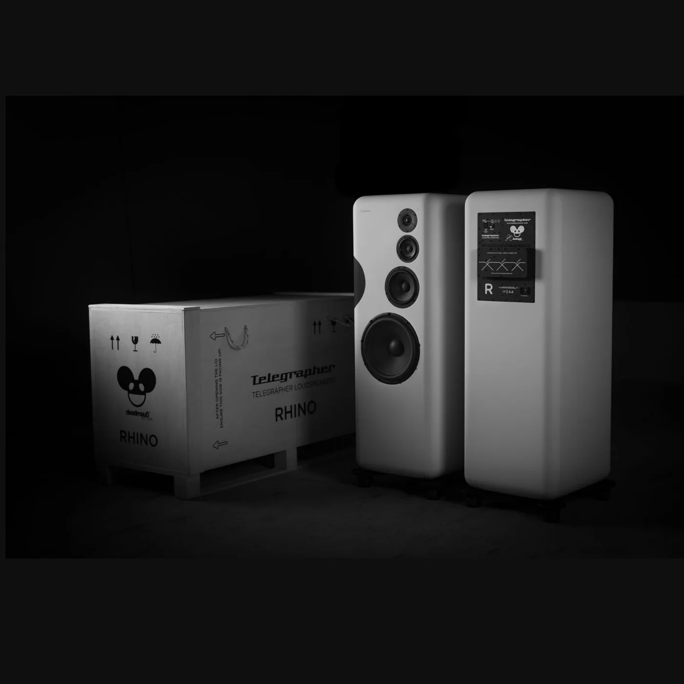 Elephant Active Analog Subwoofer by Telegrapher p03