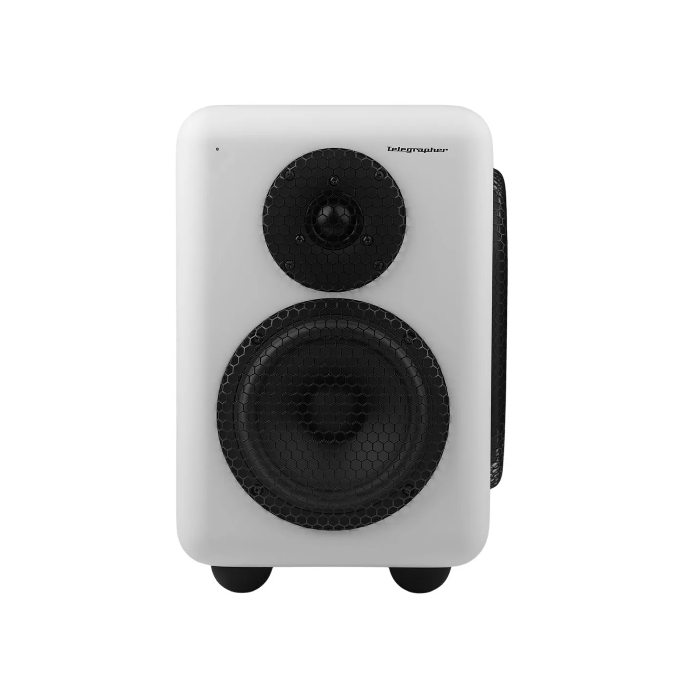 Telegrapher RACCOON Active Analog Nearfield Monitor