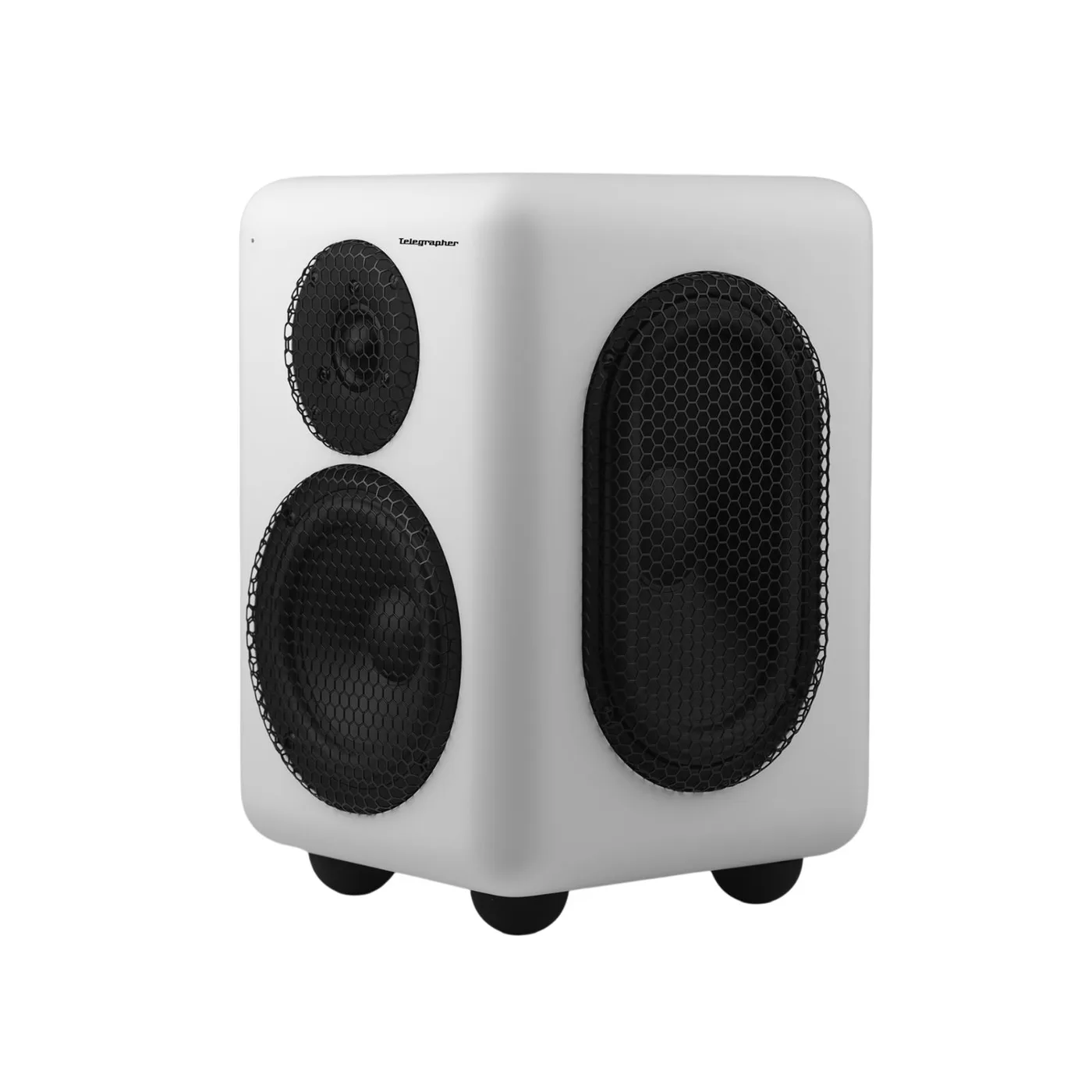 Telegrapher RACCOON Active Analog Nearfield Monitor p2