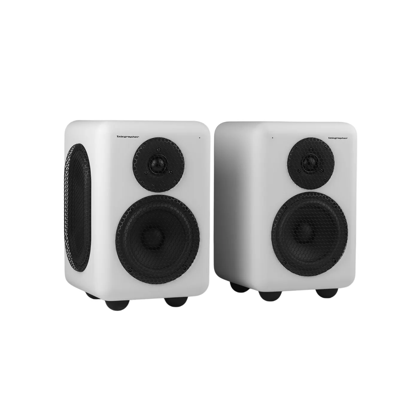 Telegrapher RACCOON Active Analog Nearfield Monitor p4